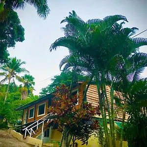 https://real-dominican-republic-discovery.greaterantilleshotels.net